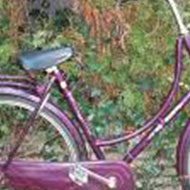 foto serie fiets 01